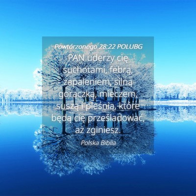 Picture 04 - Powtórzonego 28:22 POLUBG - PAN uderzy cię suchotami, febrą, zapaleniem, - Bible Verse Picture