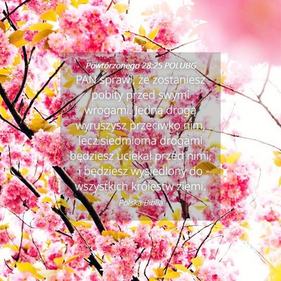 Picture 04 - Powtórzonego 28:25 POLUBG - PAN sprawi, że zostaniesz pobity przed swymi - Bible Verse Picture