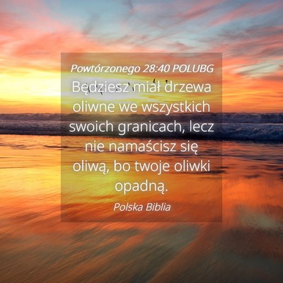 Picture 04 - Powtórzonego 28:40 POLUBG - Będziesz miał drzewa oliwne we wszystkich - Bible Verse Picture