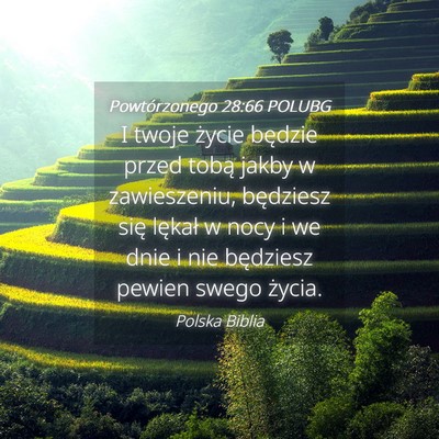 Picture 04 - Powtórzonego 28:66 POLUBG - I twoje życie będzie przed tobą jakby w - Bible Verse Picture