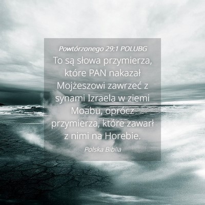 Picture 04 - Powtórzonego 29:1 POLUBG - To są słowa przymierza, które PAN nakazał - Bible Verse Picture
