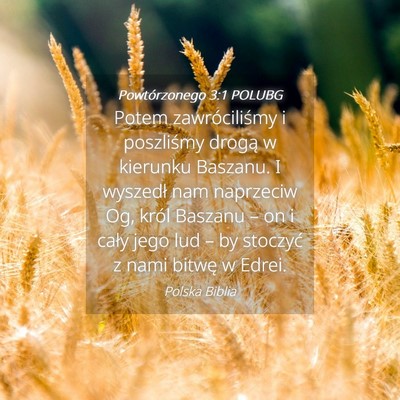 Picture 04 - Powtórzonego 3:1 POLUBG - Potem zawróciliśmy i poszliśmy drogą w - Bible Verse Picture