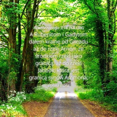 Picture 04 - Powtórzonego 3:16 POLUBG - A Rubenitom i Gadytom dałem krainę od Gileadu - Bible Verse Picture