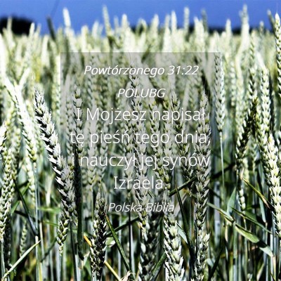 Picture 04 - Powtórzonego 31:22 POLUBG - I Mojżesz napisał tę pieśń tego dnia, i - Bible Verse Picture