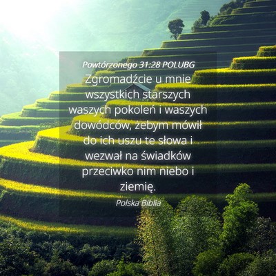 Picture 04 - Powtórzonego 31:28 POLUBG - Zgromadźcie u mnie wszystkich starszych waszych - Bible Verse Picture