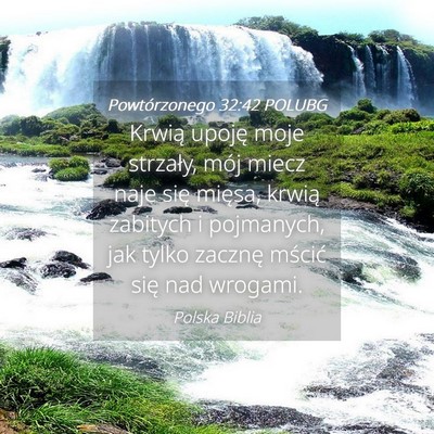 Picture 04 - Powtórzonego 32:42 POLUBG - Krwią upoję moje strzały, mój miecz naje się - Bible Verse Picture