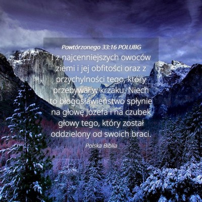 Picture 04 - Powtórzonego 33:16 POLUBG - I z najcenniejszych owoców ziemi i jej - Bible Verse Picture
