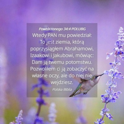 Picture 04 - Powtórzonego 34:4 POLUBG - Wtedy PAN mu powiedział: To jest ziemia, którą - Bible Verse Picture
