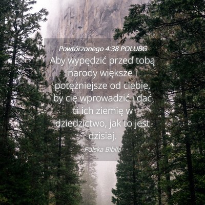 Picture 04 - Powtórzonego 4:38 POLUBG - Aby wypędzić przed tobą narody większe i - Bible Verse Picture