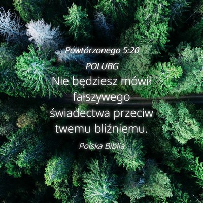 Picture 04 - Powtórzonego 5:20 POLUBG - Nie będziesz mówił fałszywego świadectwa - Bible Verse Picture