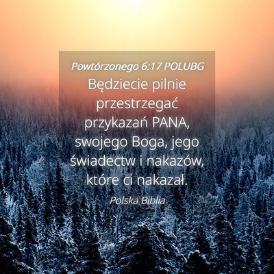 Picture 04 - Powtórzonego 6:17 POLUBG - Będziecie pilnie przestrzegać przykazań PANA, - Bible Verse Picture