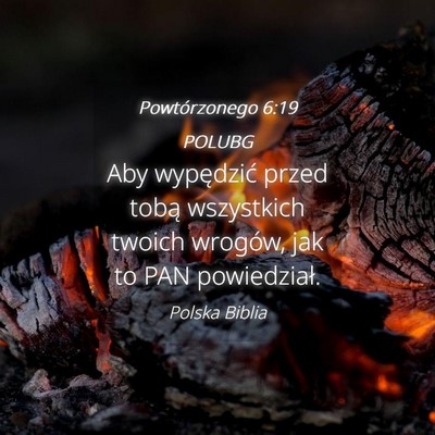 Picture 04 - Powtórzonego 6:19 POLUBG - Aby wypędzić przed tobą wszystkich twoich - Bible Verse Picture