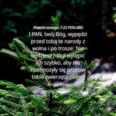 Picture 04 - Powtórzonego 7:22 POLUBG - I PAN, twój Bóg, wypędzi przed tobą te narody - Bible Verse Picture