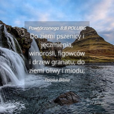 Picture 04 - Powtórzonego 8:8 POLUBG - Do ziemi pszenicy i jęczmienia, winorośli, - Bible Verse Picture