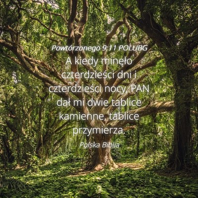 Picture 04 - Powtórzonego 9:11 POLUBG - A kiedy minęło czterdzieści dni i - Bible Verse Picture