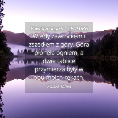 Picture 04 - Powtórzonego 9:15 POLUBG - Wtedy zawróciłem i zszedłem z góry. Góra - Bible Verse Picture