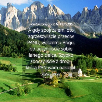 Picture 04 - Powtórzonego 9:16 POLUBG - A gdy spojrzałem, oto zgrzeszyliście przeciw - Bible Verse Picture