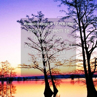 Picture 04 - Powtórzonego 9:17 POLUBG - Wtedy wziąłem te dwie tablice, wyrzuciłem je z - Bible Verse Picture