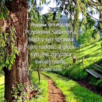 Picture 04 - Przysłów 10:1 POLUBG - Przysłowia Salomona. Mądry syn sprawia ojcu - Bible Verse Picture