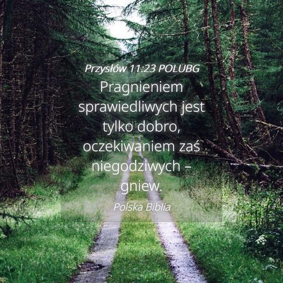 Picture 04 - Przysłów 11:23 POLUBG - Pragnieniem sprawiedliwych jest tylko dobro, - Bible Verse Picture