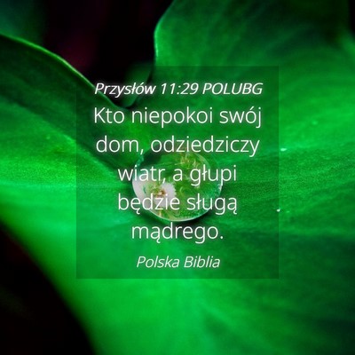 Picture 04 - Przysłów 11:29 POLUBG - Kto niepokoi swój dom, odziedziczy wiatr, a - Bible Verse Picture
