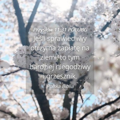 Picture 04 - Przysłów 11:31 POLUBG - Jeśli sprawiedliwy otrzyma zapłatę na ziemi, - Bible Verse Picture