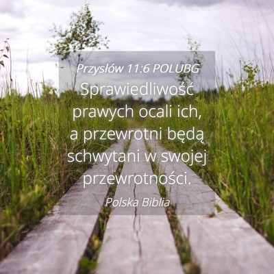 Picture 04 - Przysłów 11:6 POLUBG - Sprawiedliwość prawych ocali ich, a przewrotni - Bible Verse Picture