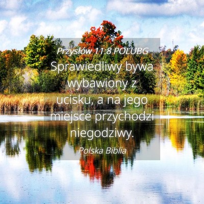 Picture 04 - Przysłów 11:8 POLUBG - Sprawiedliwy bywa wybawiony z ucisku, a na jego - Bible Verse Picture