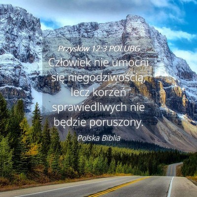 Picture 04 - Przysłów 12:3 POLUBG - Człowiek nie umocni się niegodziwością, lecz - Bible Verse Picture