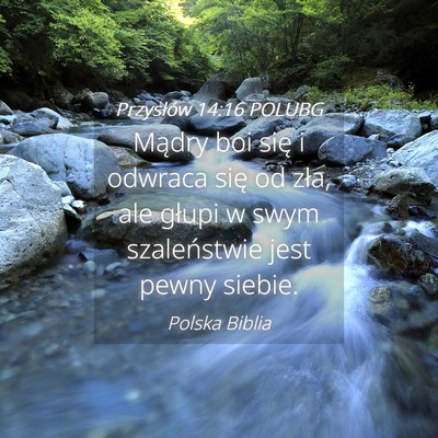 Picture 04 - Przysłów 14:16 POLUBG - Mądry boi się i odwraca się od zła, ale - Bible Verse Picture