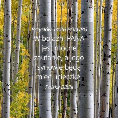 Picture 04 - Przysłów 14:26 POLUBG - W bojaźni PANA jest mocne zaufanie, a jego - Bible Verse Picture