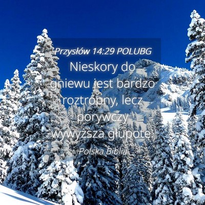 Picture 04 - Przysłów 14:29 POLUBG - Nieskory do gniewu jest bardzo roztropny, lecz - Bible Verse Picture