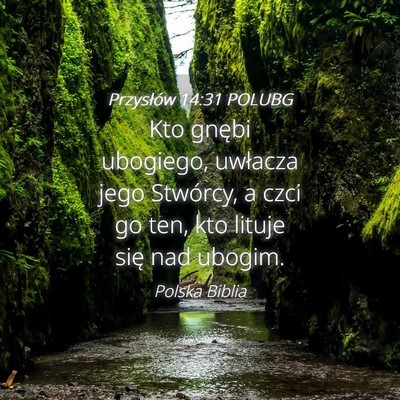 Picture 04 - Przysłów 14:31 POLUBG - Kto gnębi ubogiego, uwłacza jego Stwórcy, a - Bible Verse Picture