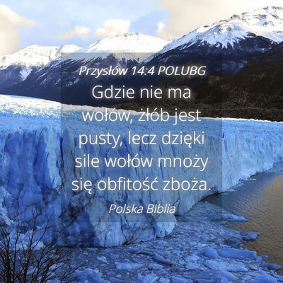 Picture 04 - Przysłów 14:4 POLUBG - Gdzie nie ma wołów, żłób jest pusty, lecz - Bible Verse Picture