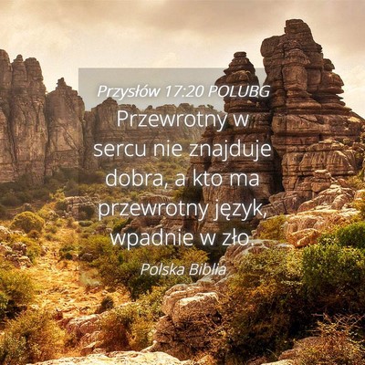 Picture 04 - Przysłów 17:20 POLUBG - Przewrotny w sercu nie znajduje dobra, a kto ma - Bible Verse Picture