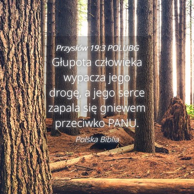Picture 04 - Przysłów 19:3 POLUBG - Głupota człowieka wypacza jego drogę, a jego - Bible Verse Picture