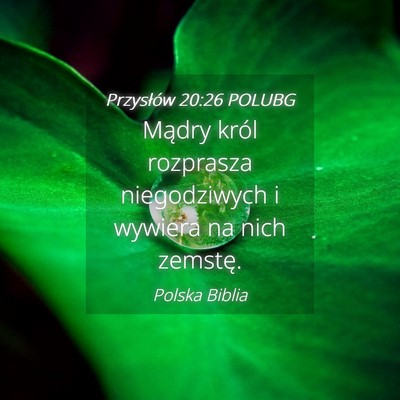 Picture 04 - Przysłów 20:26 POLUBG - Mądry król rozprasza niegodziwych i wywiera na - Bible Verse Picture