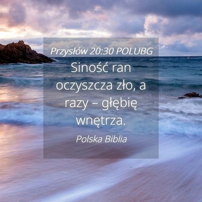 Picture 04 - Przysłów 20:30 POLUBG - Siność ran oczyszcza zło, a razy – głębię - Bible Verse Picture
