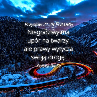 Picture 04 - Przysłów 21:29 POLUBG - Niegodziwy ma upór na twarzy, ale prawy wytycza - Bible Verse Picture
