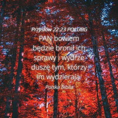 Picture 04 - Przysłów 22:23 POLUBG - PAN bowiem będzie bronił ich sprawy i wydrze - Bible Verse Picture