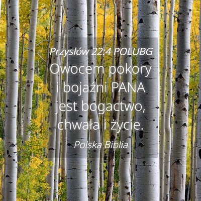 Picture 04 - Przysłów 22:4 POLUBG - Owocem pokory i bojaźni PANA jest bogactwo, - Bible Verse Picture