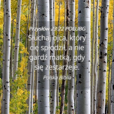 Picture 04 - Przysłów 23:22 POLUBG - Słuchaj ojca, który cię spłodził, a nie - Bible Verse Picture