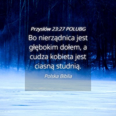 Picture 04 - Przysłów 23:27 POLUBG - Bo nierządnica jest głębokim dołem, a cudza - Bible Verse Picture