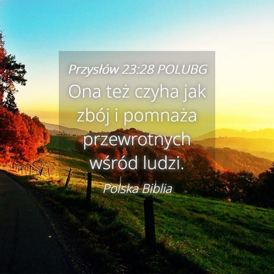 Picture 04 - Przysłów 23:28 POLUBG - Ona też czyha jak zbój i pomnaża przewrotnych - Bible Verse Picture