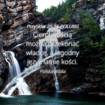 Picture 04 - Przysłów 25:15 POLUBG - Cierpliwością można przekonać władcę, a - Bible Verse Picture