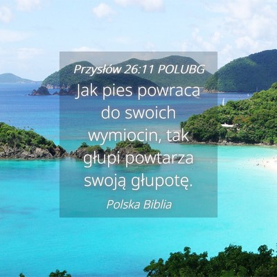 Picture 04 - Przysłów 26:11 POLUBG - Jak pies powraca do swoich wymiocin, tak głupi - Bible Verse Picture