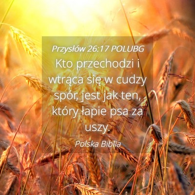 Picture 04 - Przysłów 26:17 POLUBG - Kto przechodzi i wtrąca się w cudzy spór, jest - Bible Verse Picture