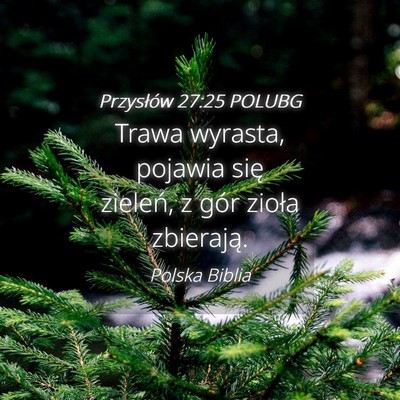 Picture 04 - Przysłów 27:25 POLUBG - Trawa wyrasta, pojawia się zieleń, z gór - Bible Verse Picture