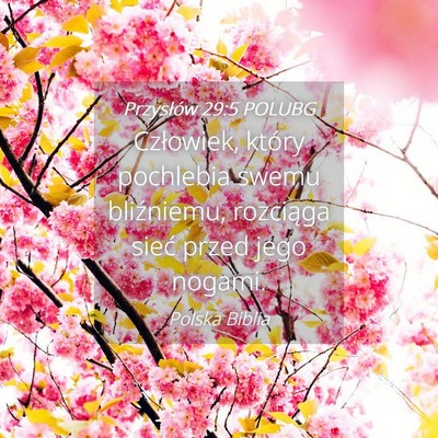 Picture 04 - Przysłów 29:5 POLUBG - Człowiek, który pochlebia swemu bliźniemu, - Bible Verse Picture