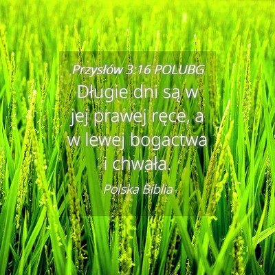 Picture 04 - Przysłów 3:16 POLUBG - Długie dni są w jej prawej ręce, a w lewej - Bible Verse Picture